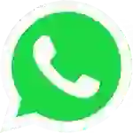 WhatsApp IFEEP